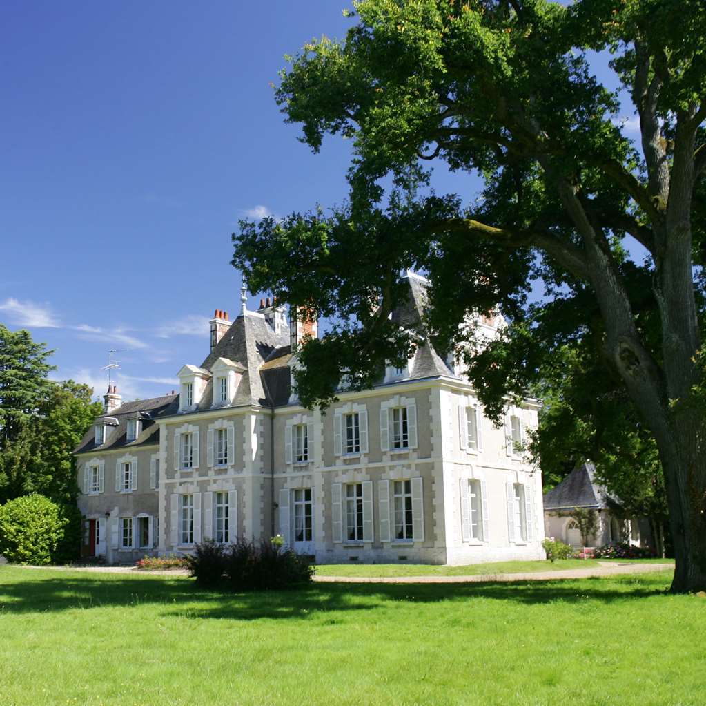 Chateau Du Breuil 舍维尼 外观 照片