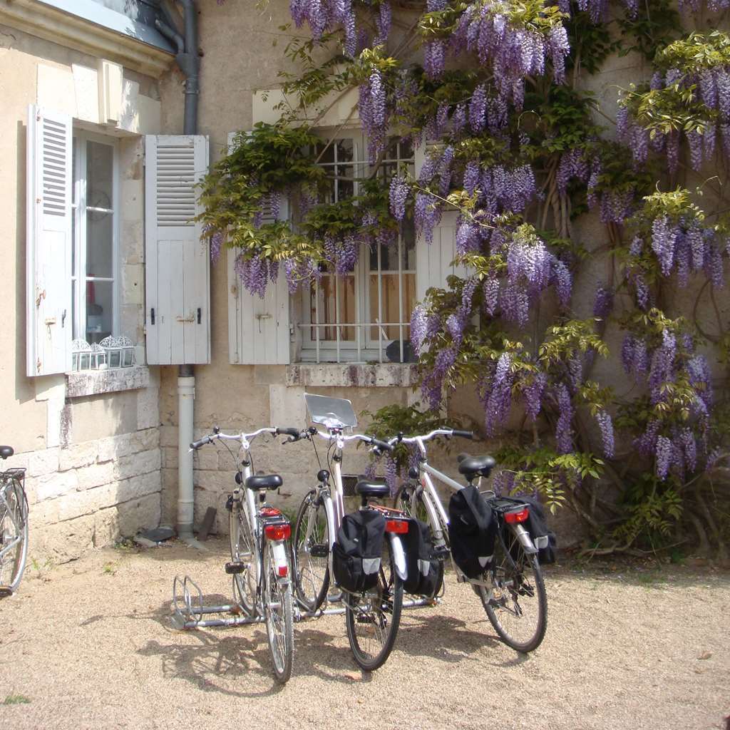 Chateau Du Breuil 舍维尼 外观 照片
