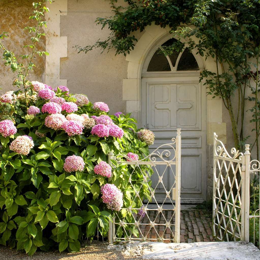 Chateau Du Breuil 舍维尼 外观 照片