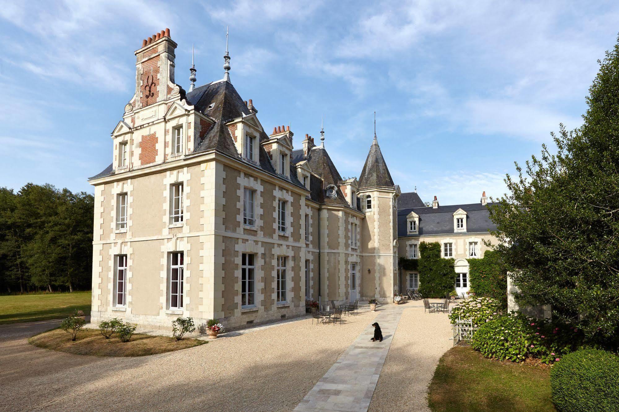 Chateau Du Breuil 舍维尼 外观 照片