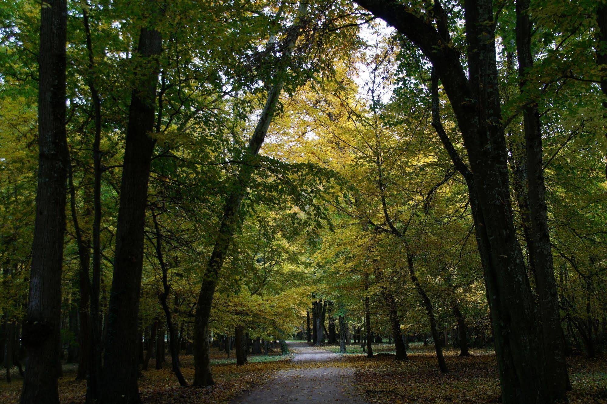 Chateau Du Breuil 舍维尼 外观 照片